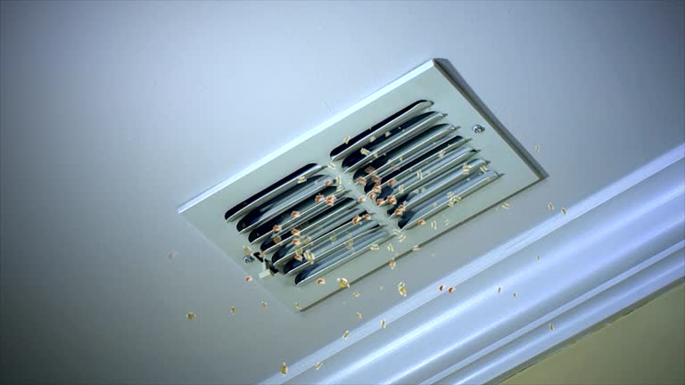 Best Air Duct Cleaning Near Me  in Detroit, MI
