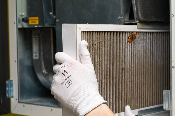 Best Affordable Air Duct Cleaning  in Detroit, MI