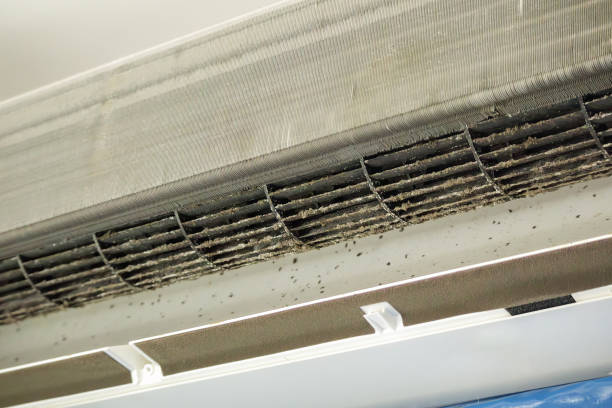 Best Affordable Duct Cleaning Services  in Detroit, MI